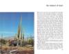 Saguaro National Monument, Arizona - Natural History Series - 1972 Page 46