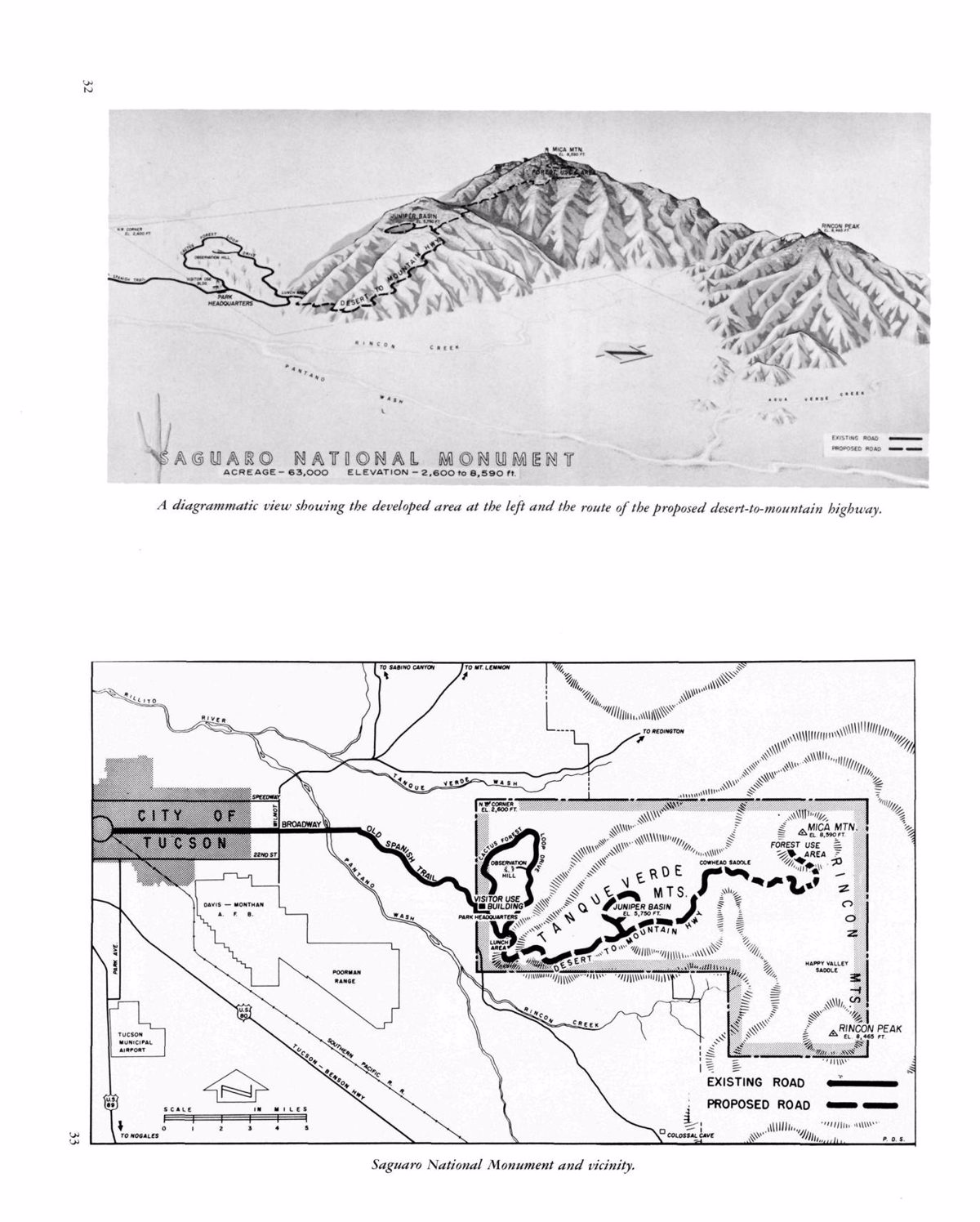 Saguaro National Monument, Arizona - Natural History Handbook Series No. 4 Page 20
