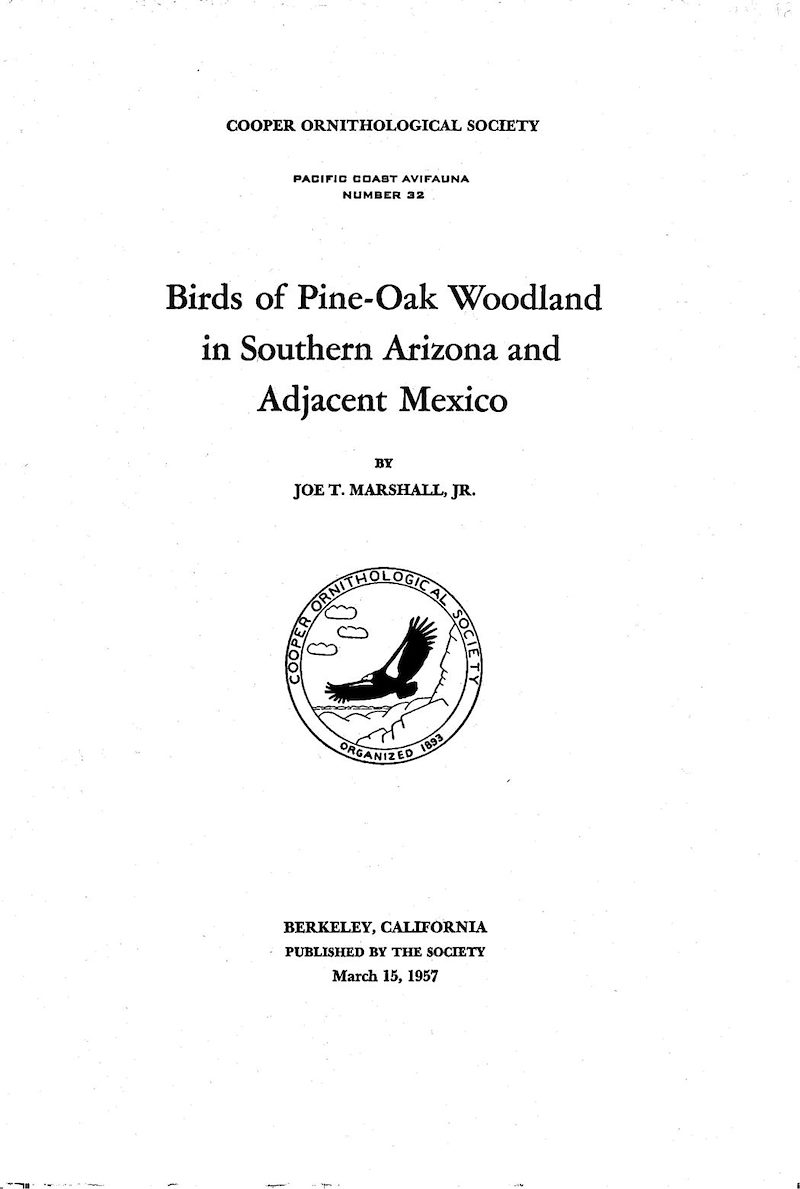 Birds of Pine-Oak Woodland in Southern Arizona and Adjacent Mexico Cover Page