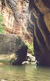 2000 Summer Charles Wading in the Zion Narrows