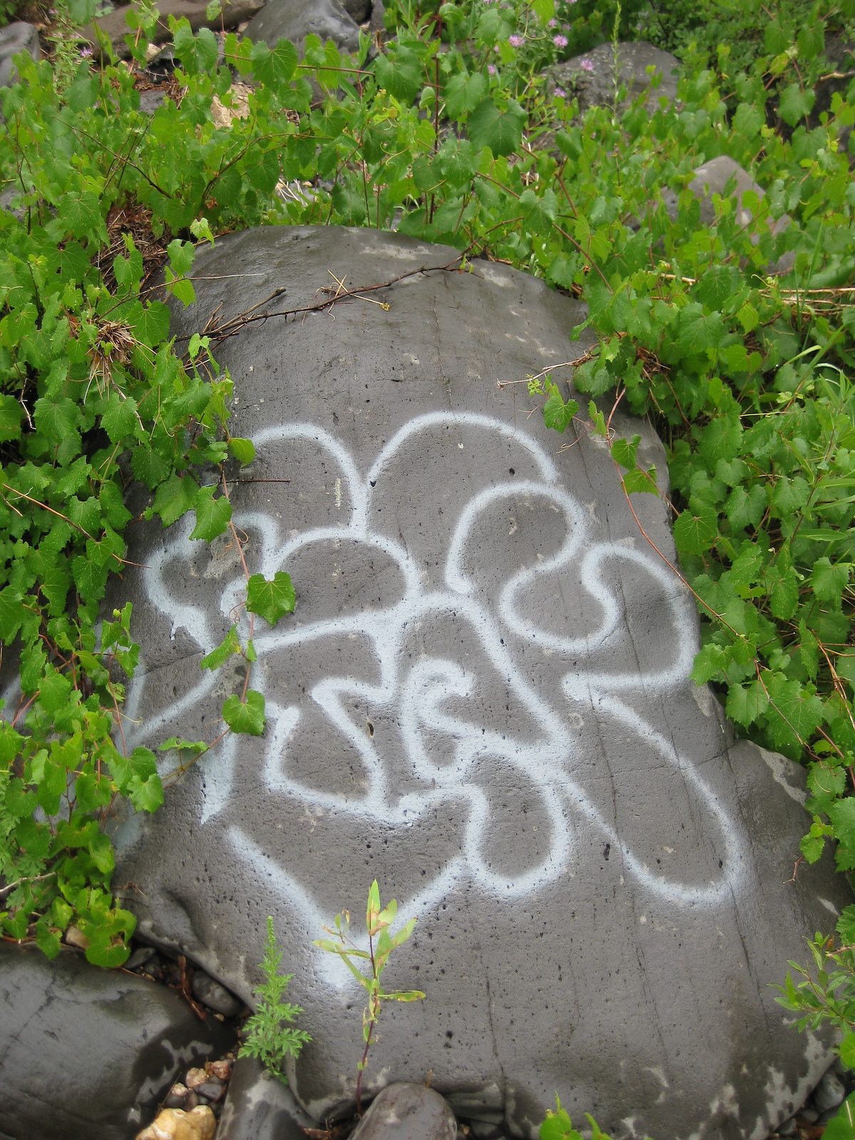 2010 July Canyon Graffiti
