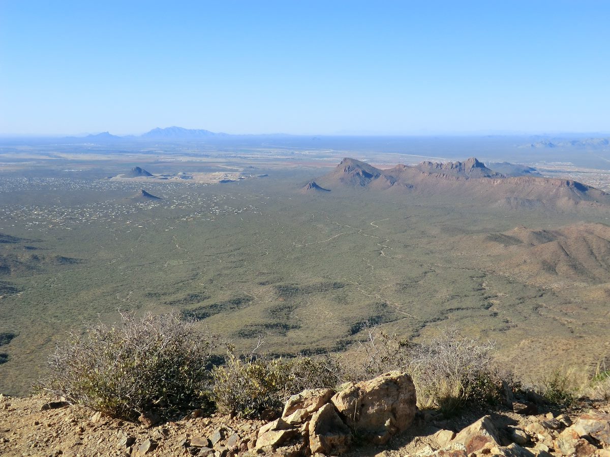 2012 March Panther Peak and Safford (Sombrero) Peak from Wasson Peak