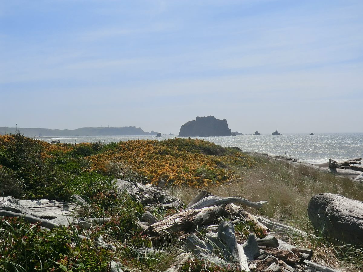 2012 May Beach - Looking South towards Cape Blanco