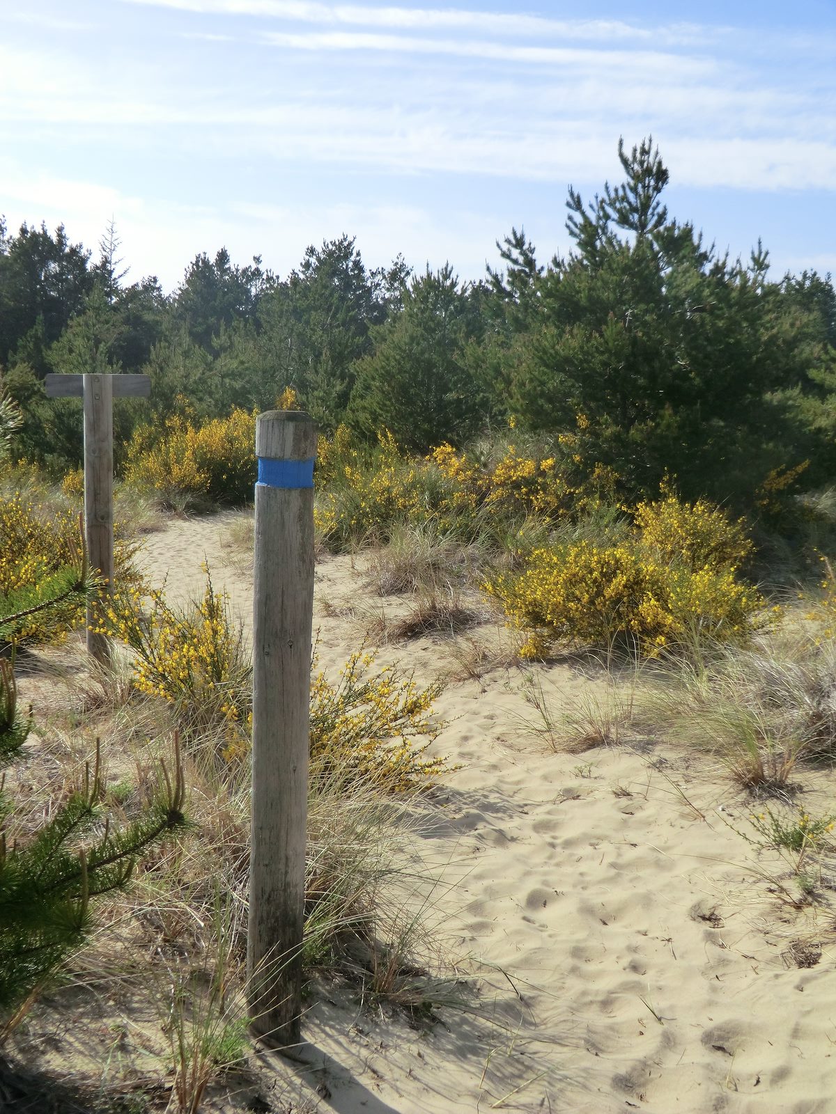 2012 May Dune Trail Markers
