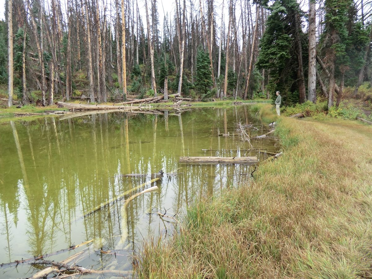 2012 September Alpine Pond in Cedar Breaks