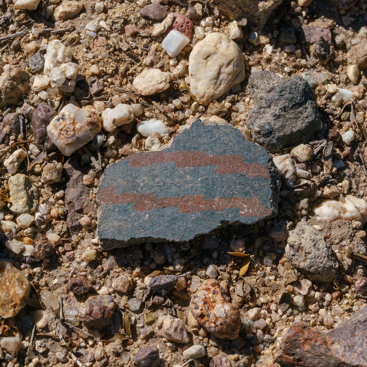 2018 March Pottery Sherd at Los Morteros 01