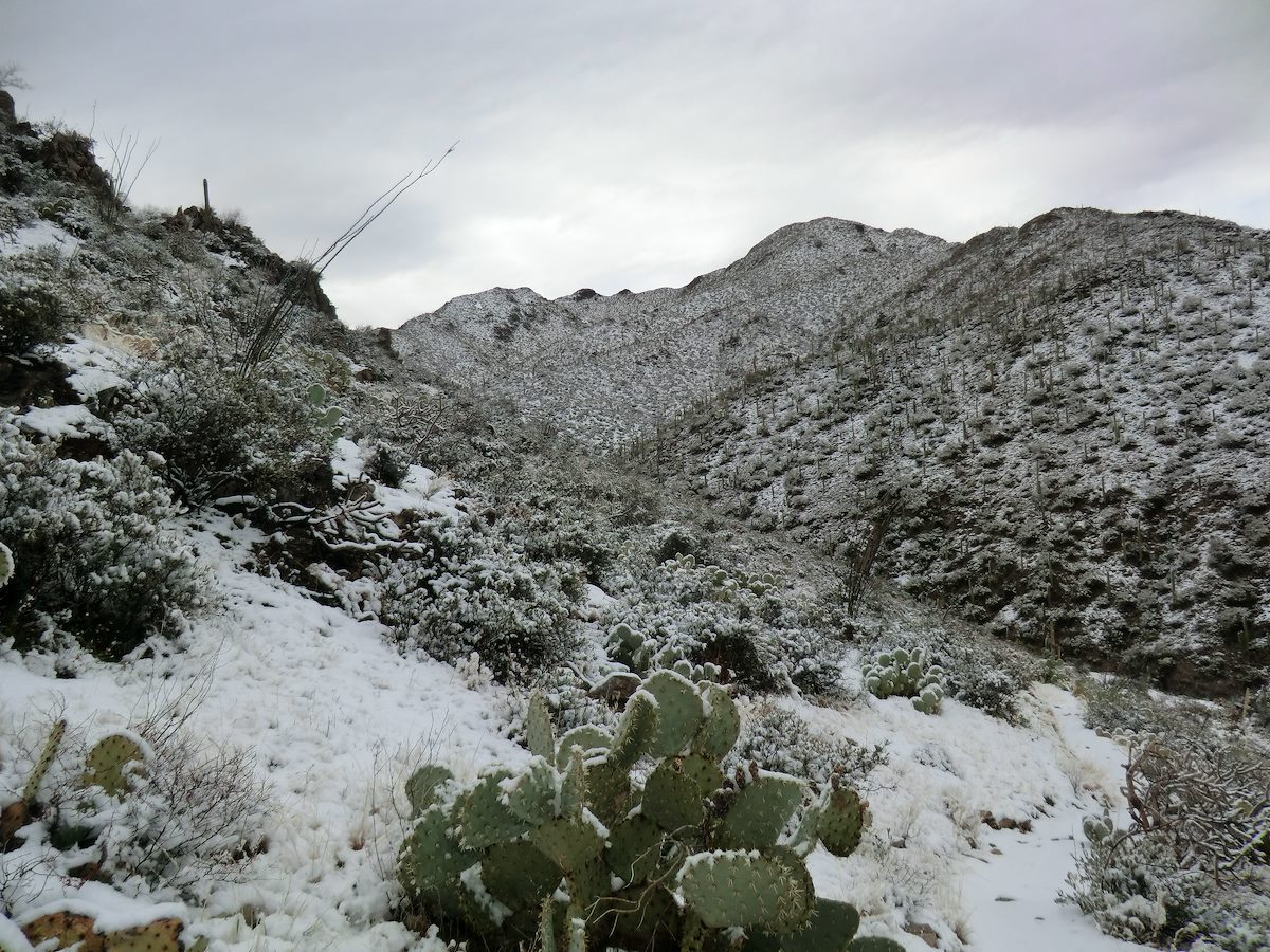 2013 February Looking Towards Wasson in the Tucson Mountains