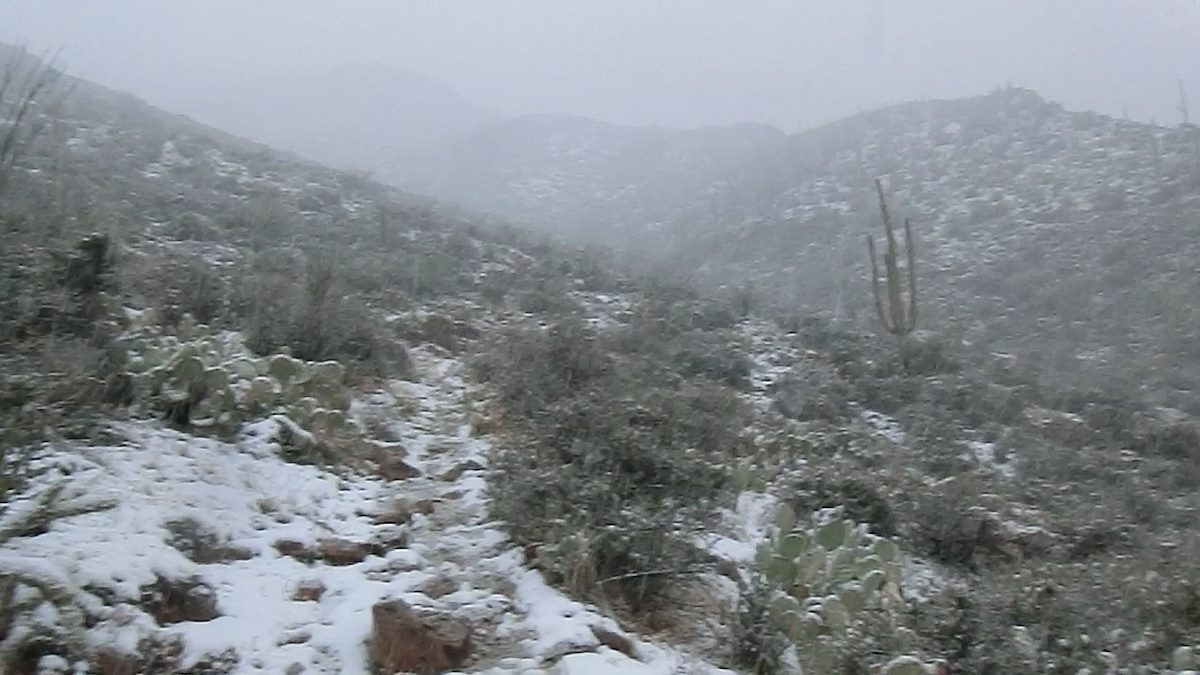 2013 February Snow falling in the Tucson Mountains