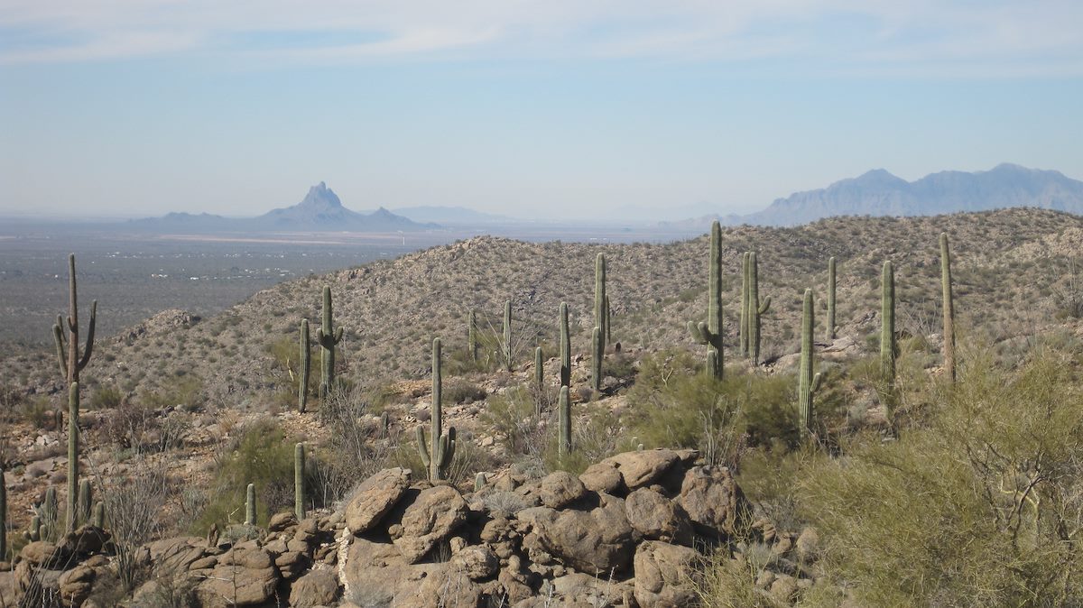 2013 January Looking at Picacho Peak and Picacho Mountains from the Cochie Spring Trail