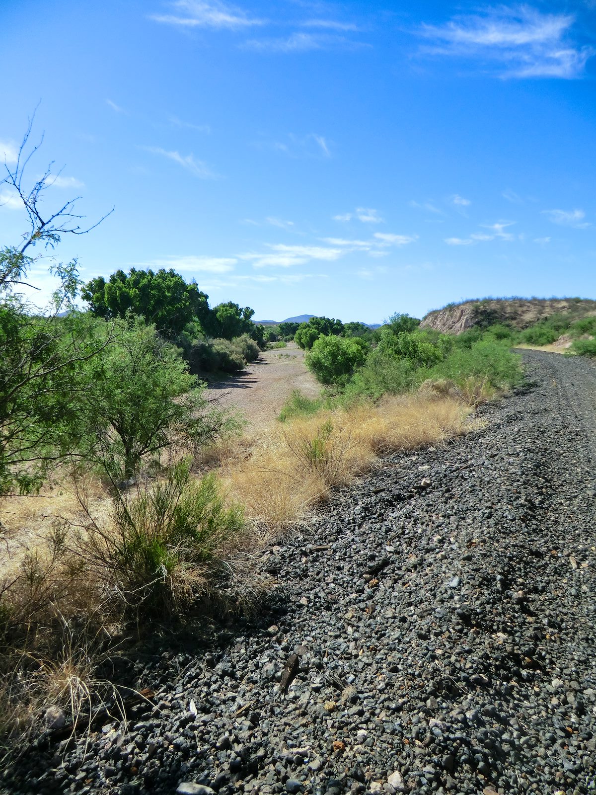 2013 June Old Railroad Grade above the San Pedro