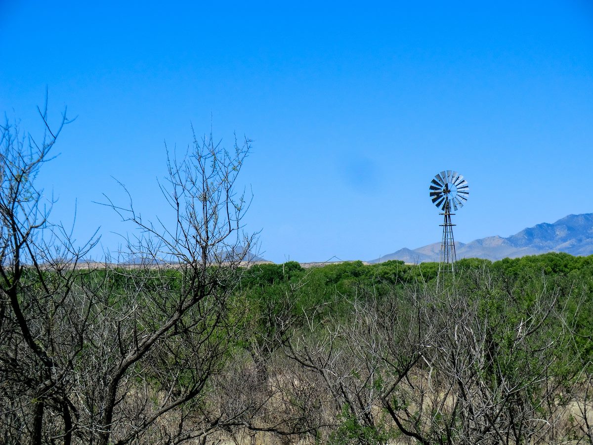 2013 May Windmill near the San Pedro River