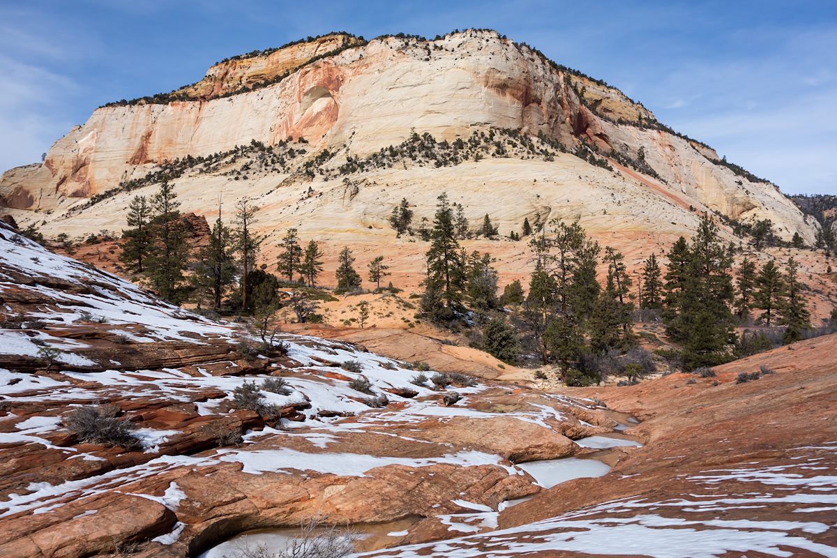 2014 February Ice in Checkerboard Canyon