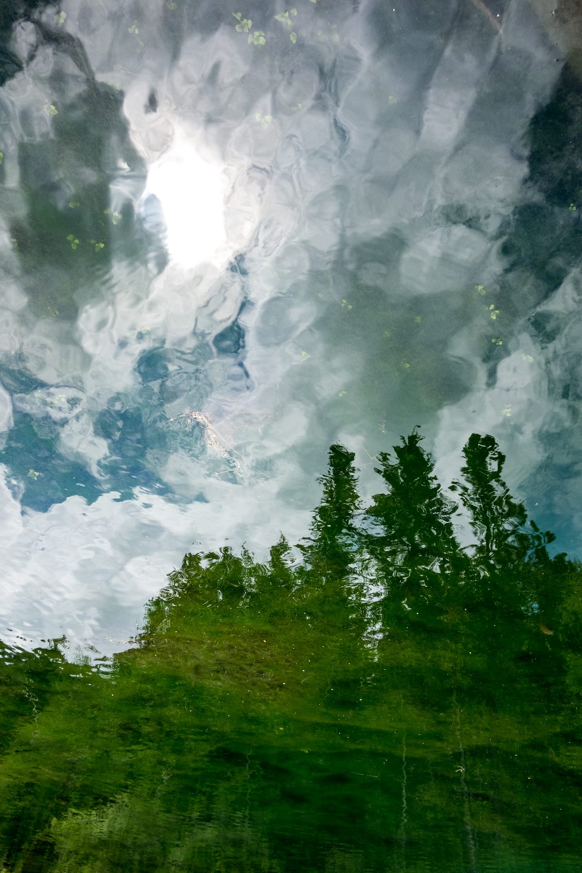 2015 June Reflection in Little Spearfish Creek