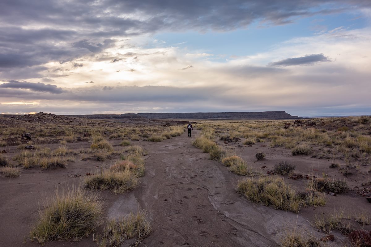 2015 October Alison in Petrified Forest National Park