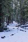 2015 October Snow Covered East Baldy Trail