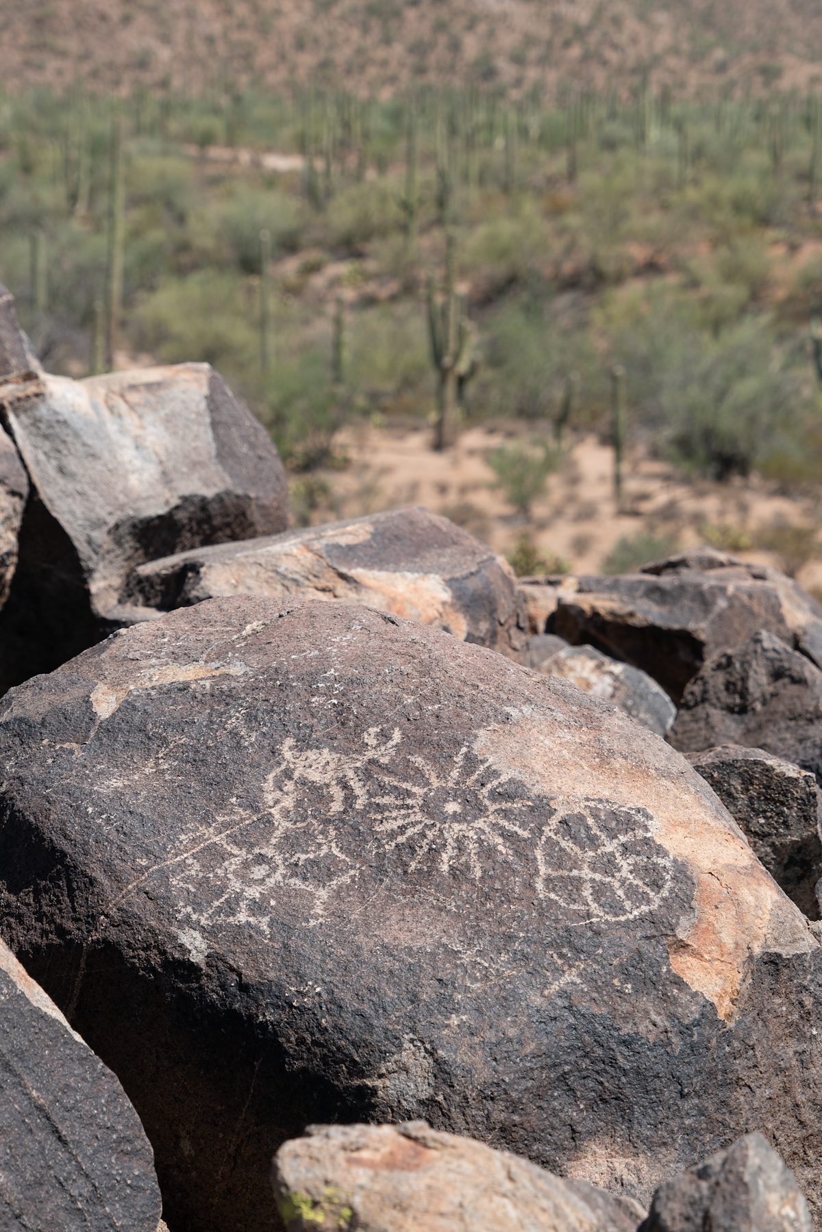 2016 July Signal Hill Petroglyphs