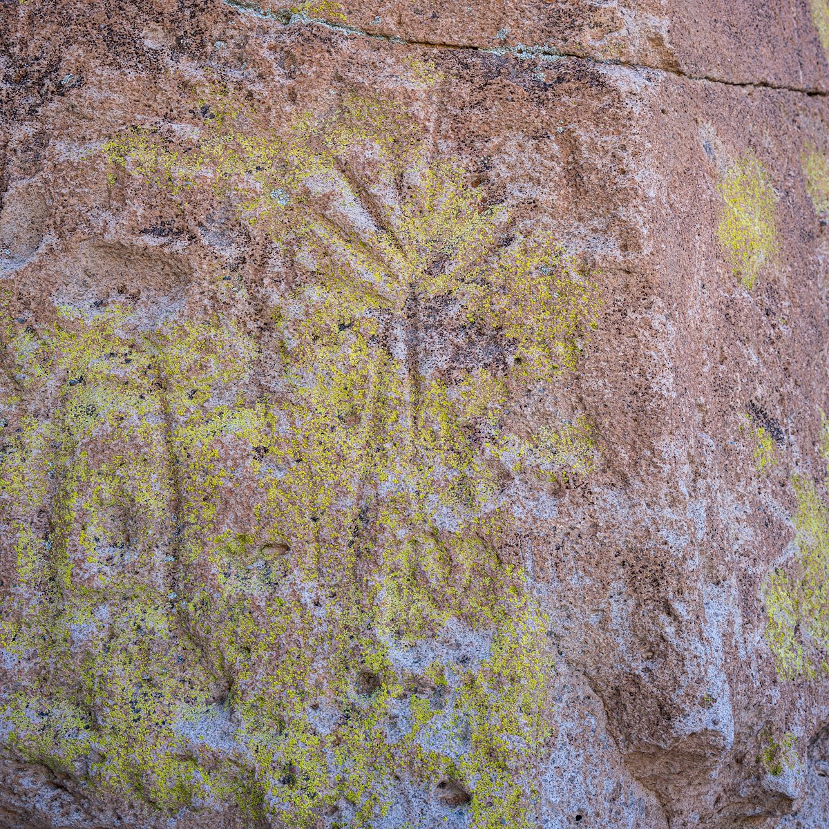 2016 June Tsankawi Petroglyphs 02