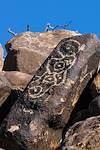2016 November Cocoraque Butte Petroglyphs 03