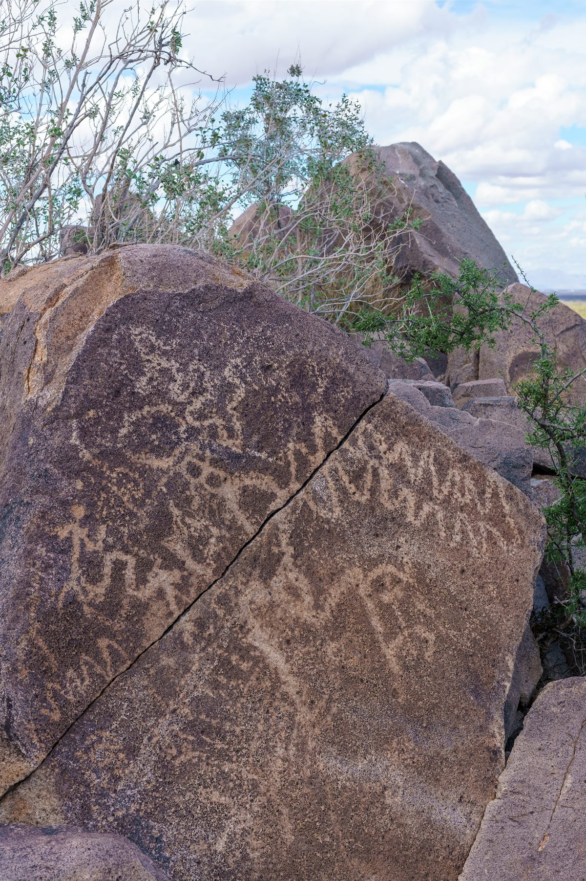 2018 March Petroglyphs 06