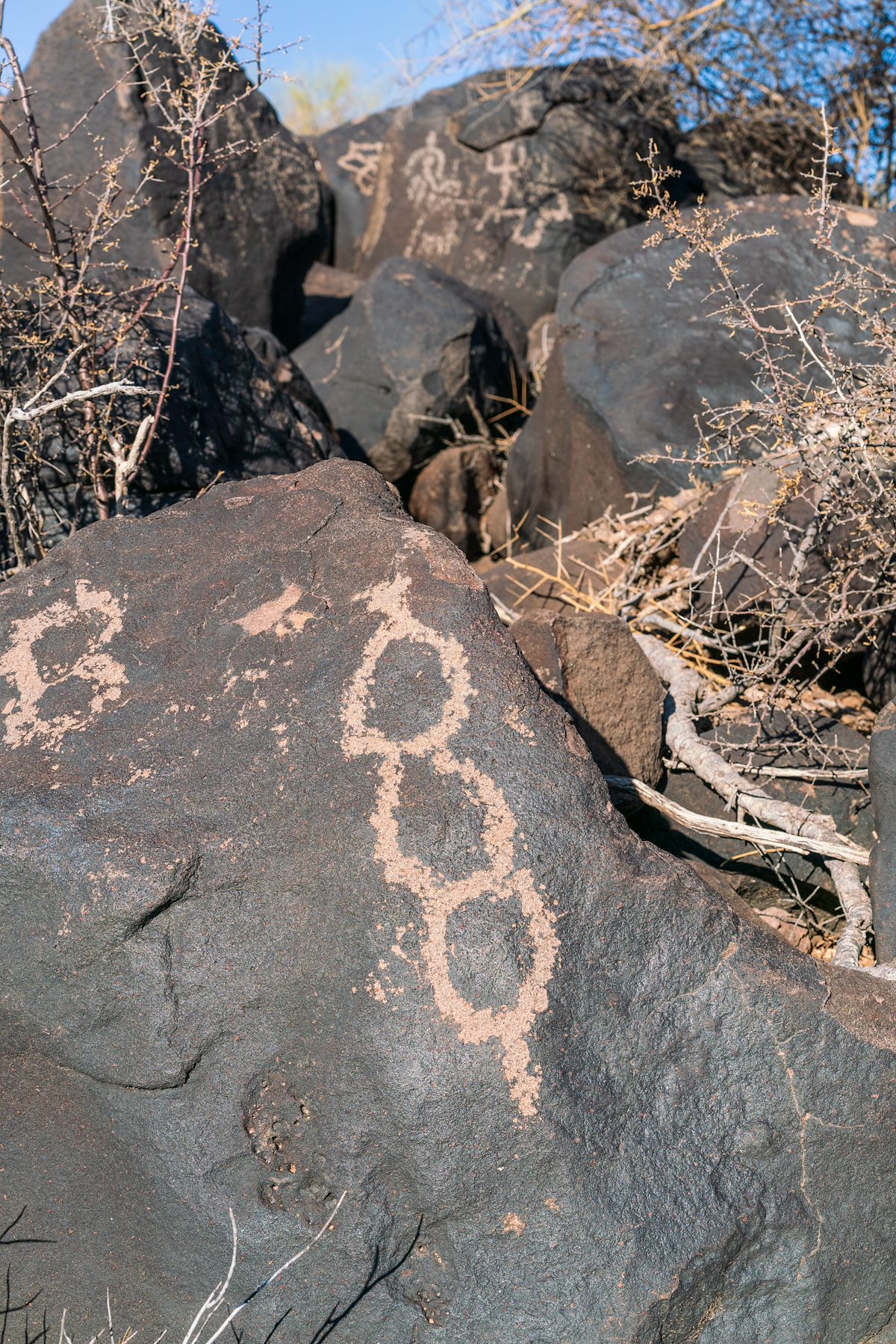2018 May Inscription Hill Petroglyphs-12