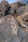 2018 May Inscription Hill Petroglyphs-12