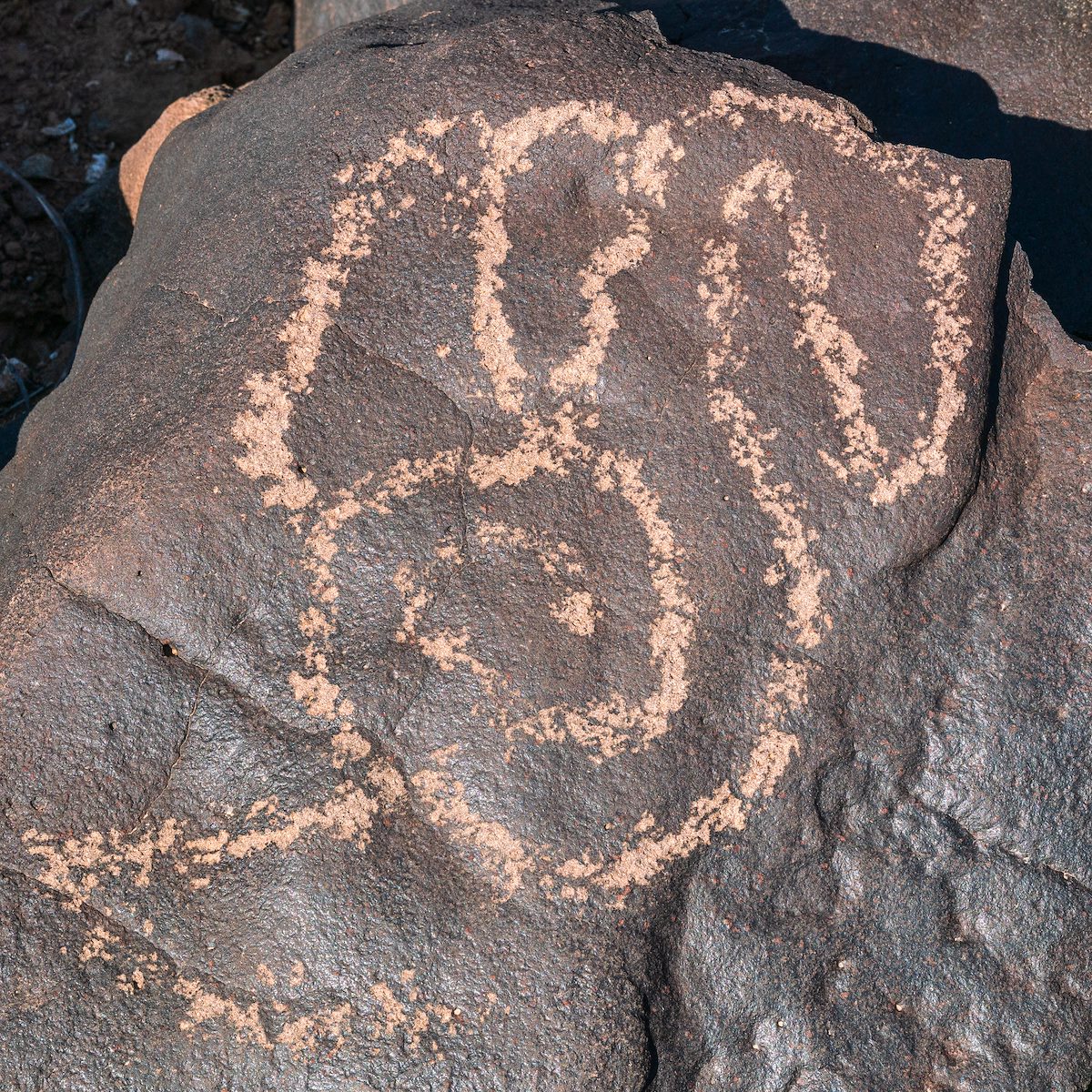 2018 May Inscription Hill Petroglyphs-13
