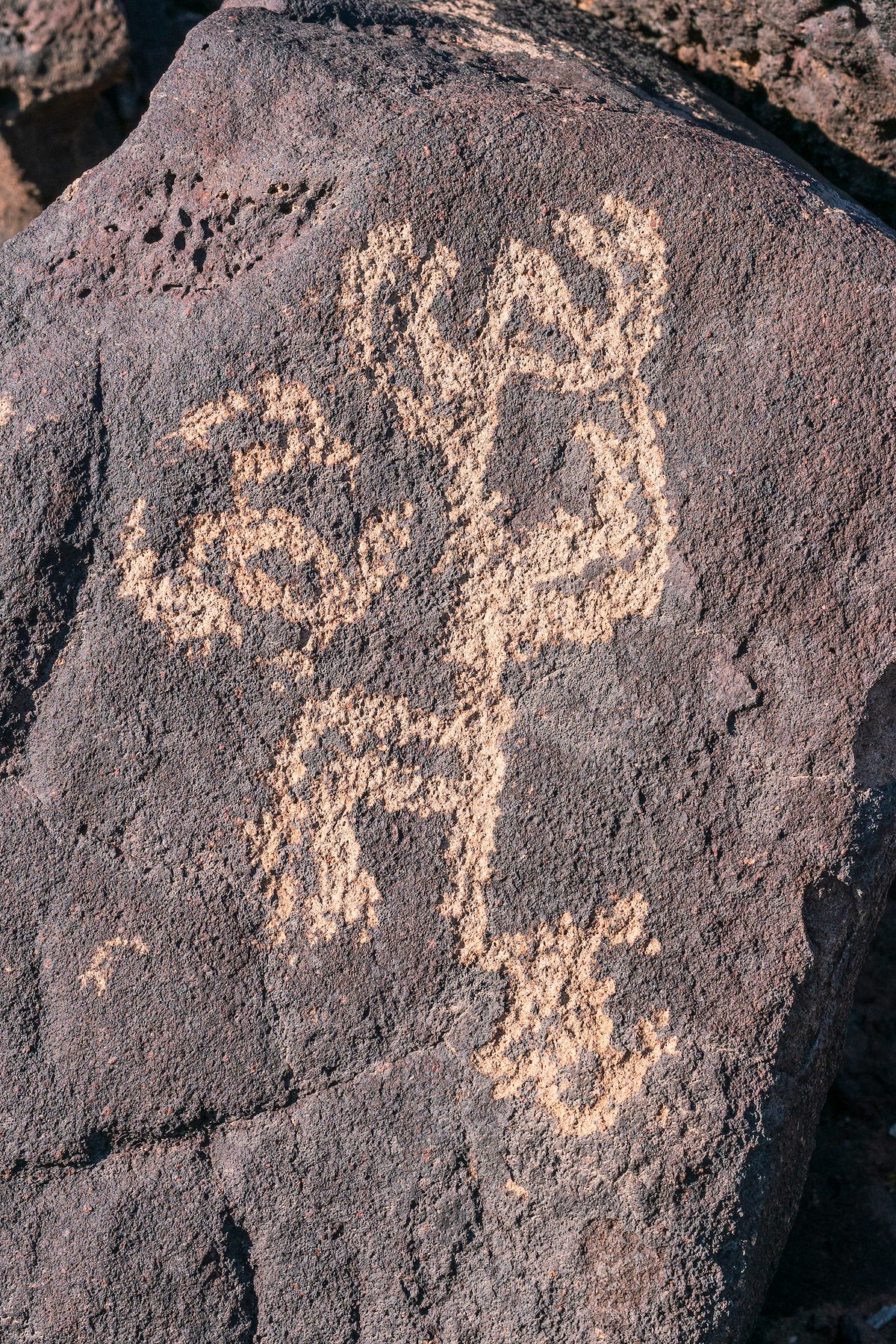 2018 May Inscription Hill Petroglyphs-14