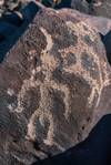 2018 May Inscription Hill Petroglyphs-5