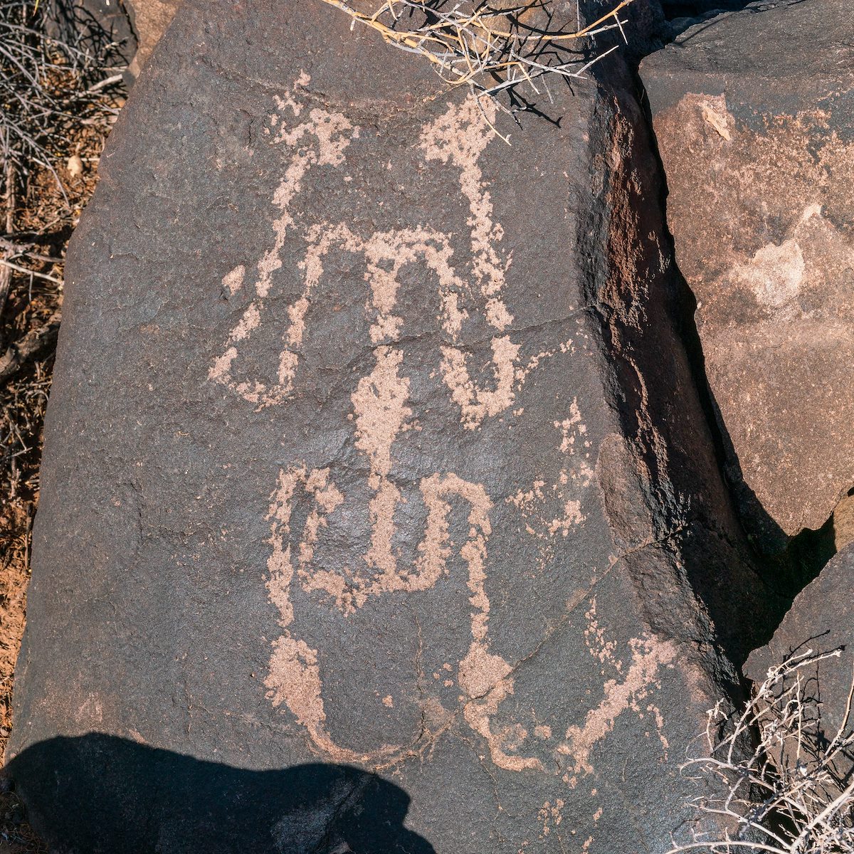 2018 May Inscription Hill Petroglyphs-8