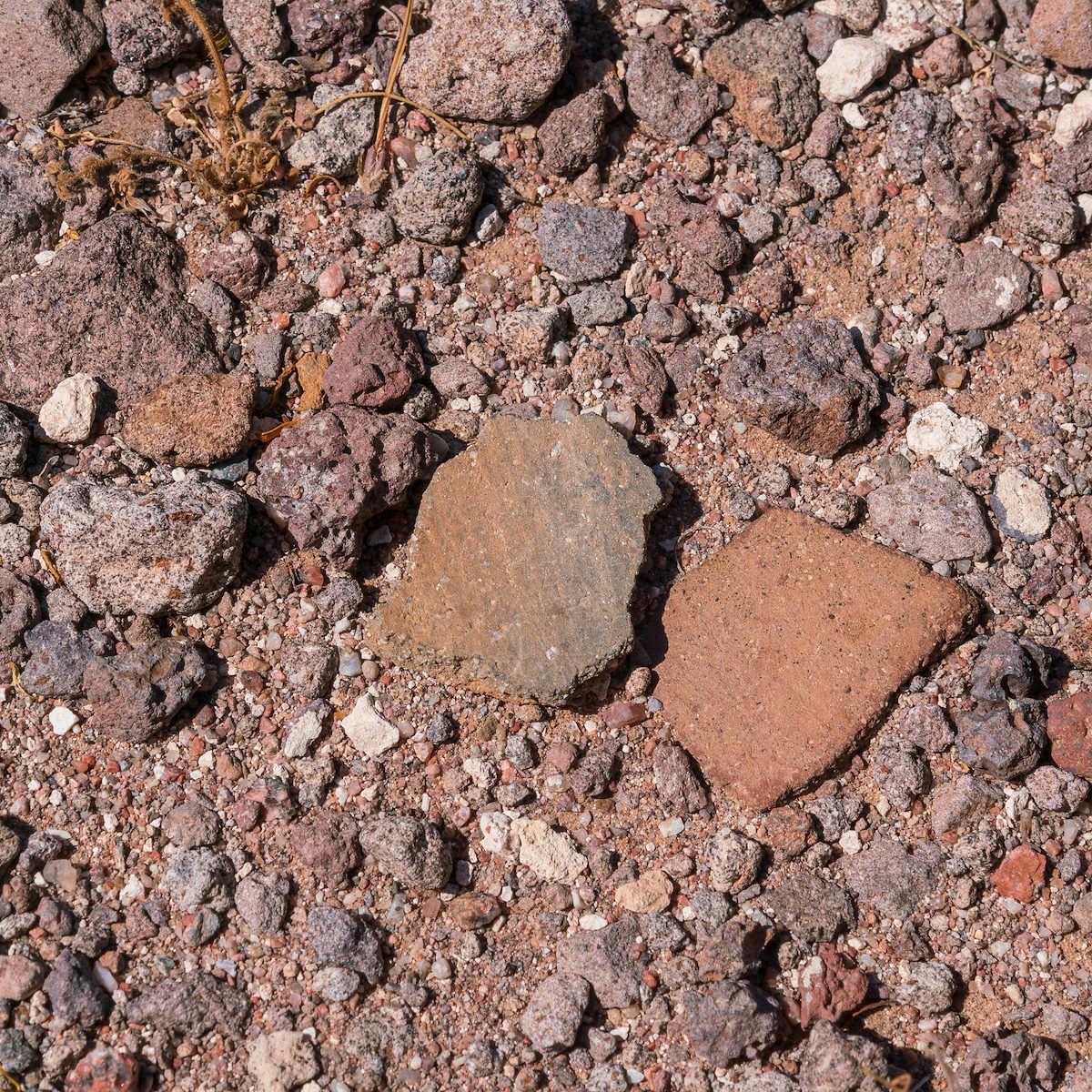 2018 May Sherds on the slopes of Cerro Prieto