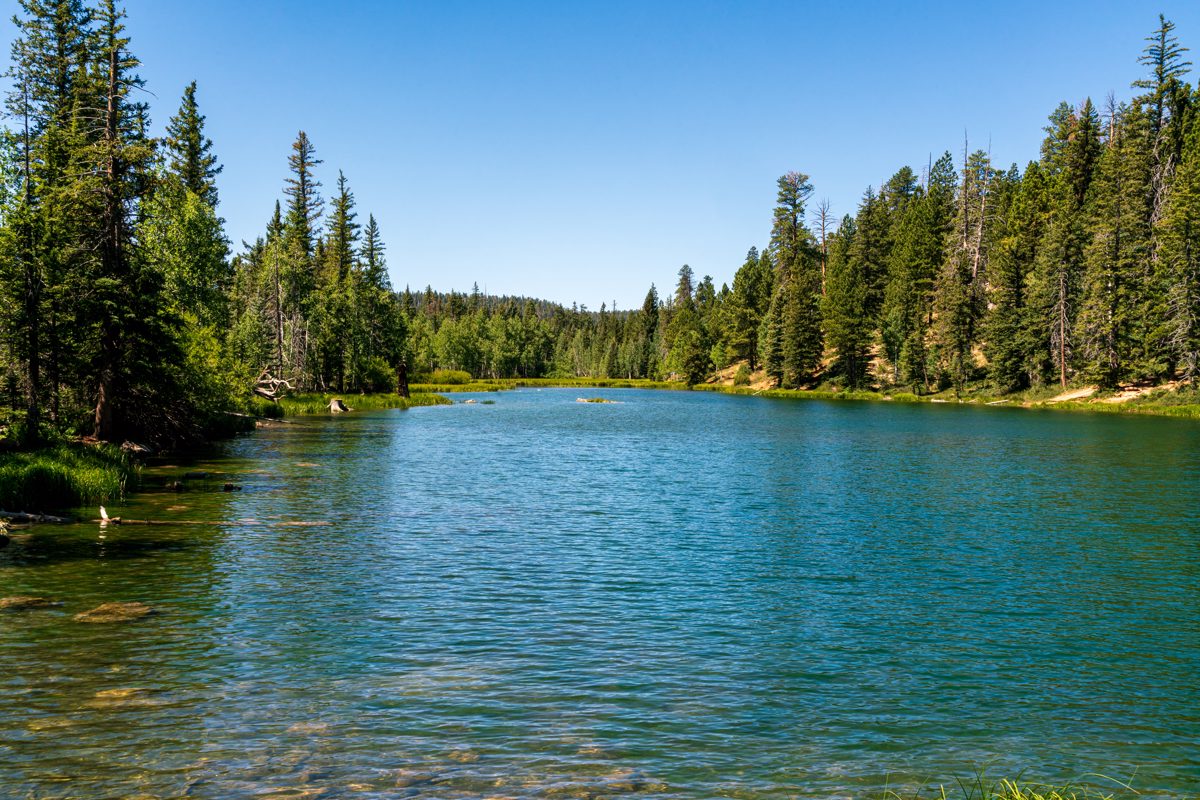 2019 August Aspen Mirror Lake in Duck Creek