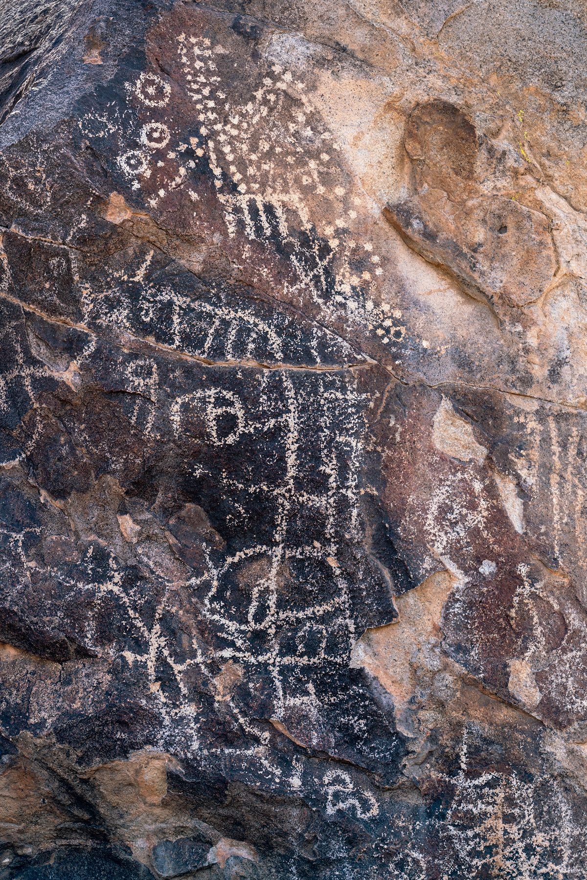 2019 August Picacho Mountain Petroglyphs 01