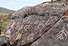 2019 August Picacho Mountain Petroglyphs 03