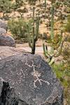2019 August Picacho Mountain Petroglyphs 05