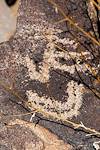 2019 August Picacho Mountain Petroglyphs 09
