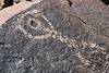 2019 August Picacho Mountain Petroglyphs 11