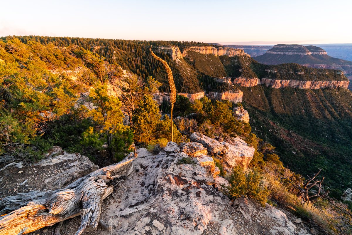 2019 August Sunset on the Rainbow Rim Trail south of Parissawampitts Point