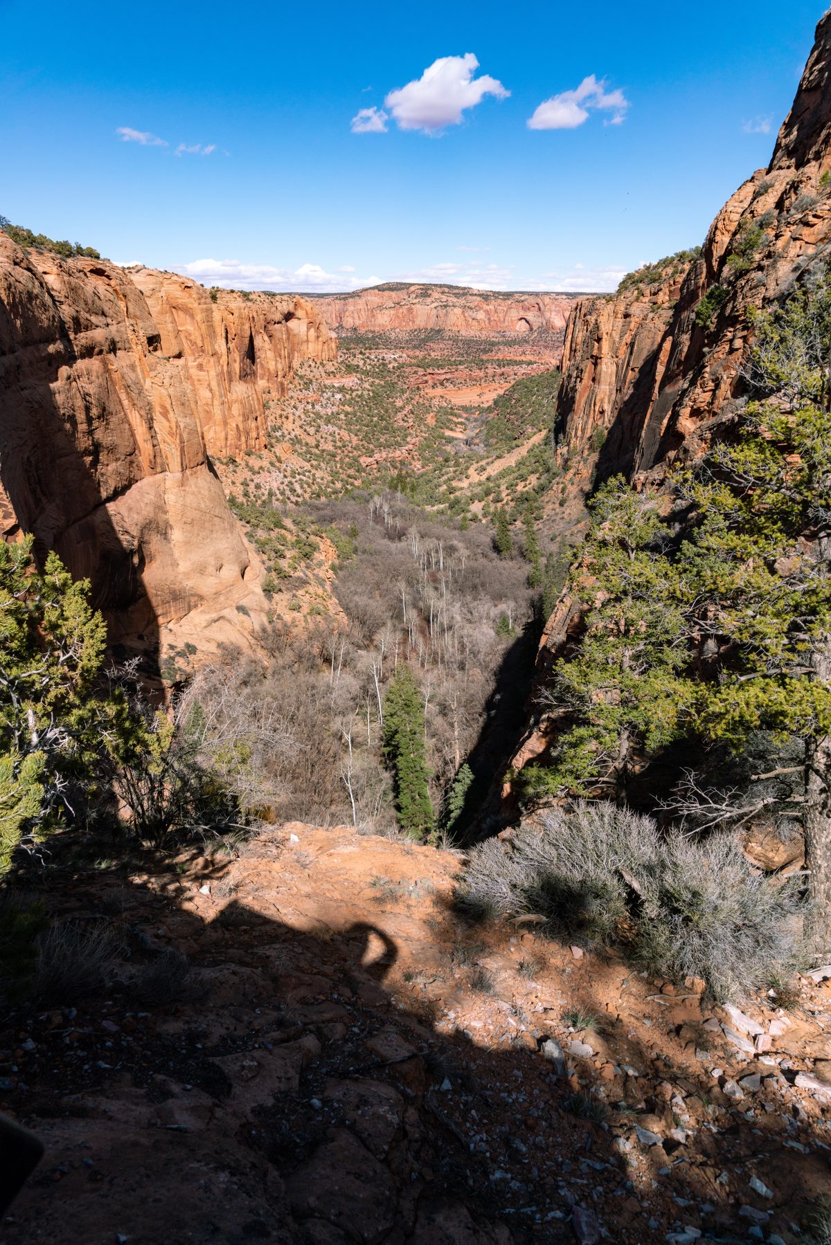 2019 March Looking down the Tsegi Side Canyon with Betatakin