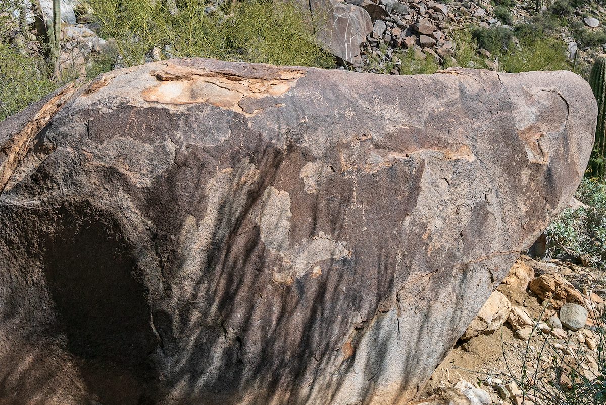 2019 March Petroglyphs above Wild Burro Canyon 02