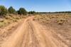 A reddish dirt road - FR2501 - curves into the distance amid scrub and trees.