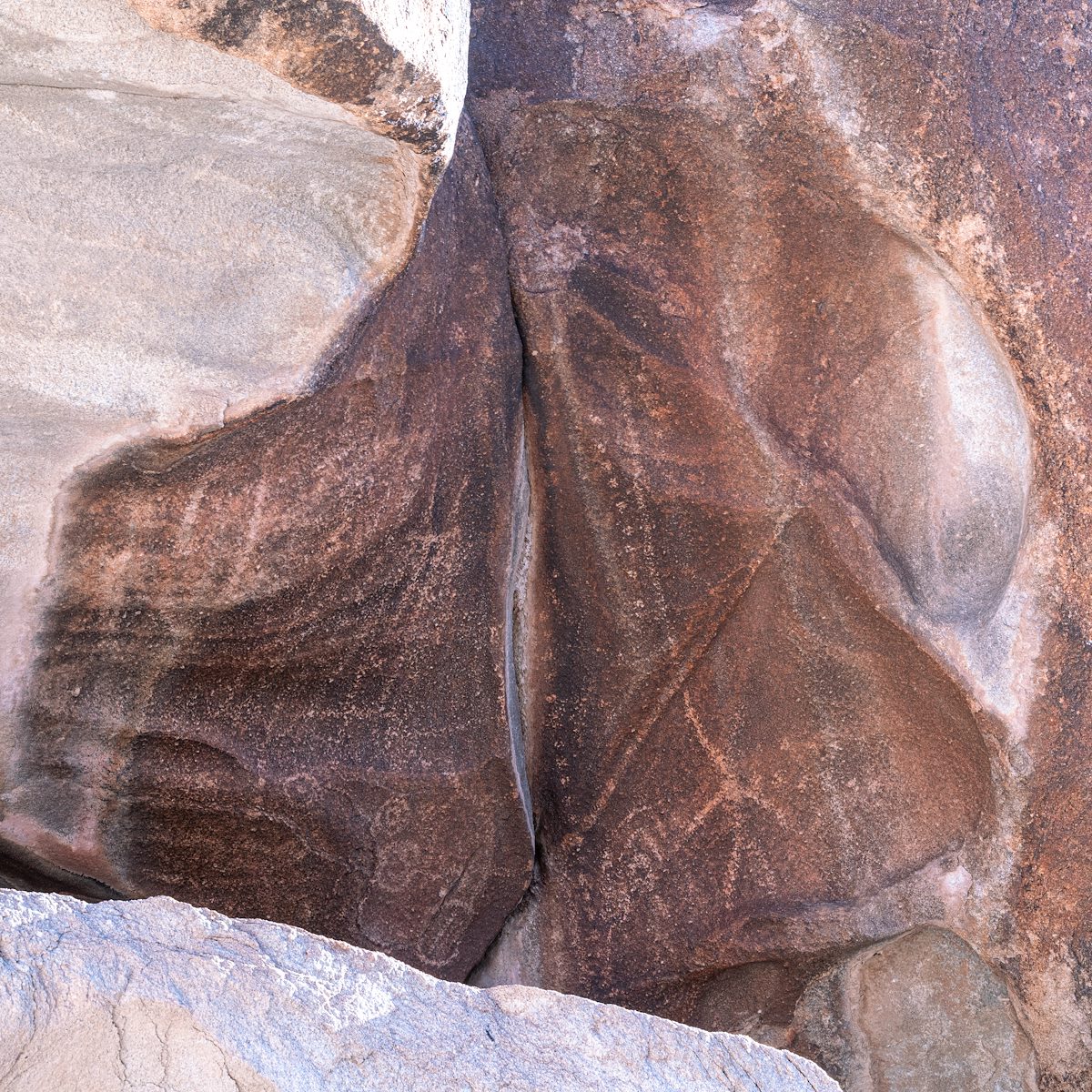 2019 October Petroglyphs in the Tinajas Altas Mountains