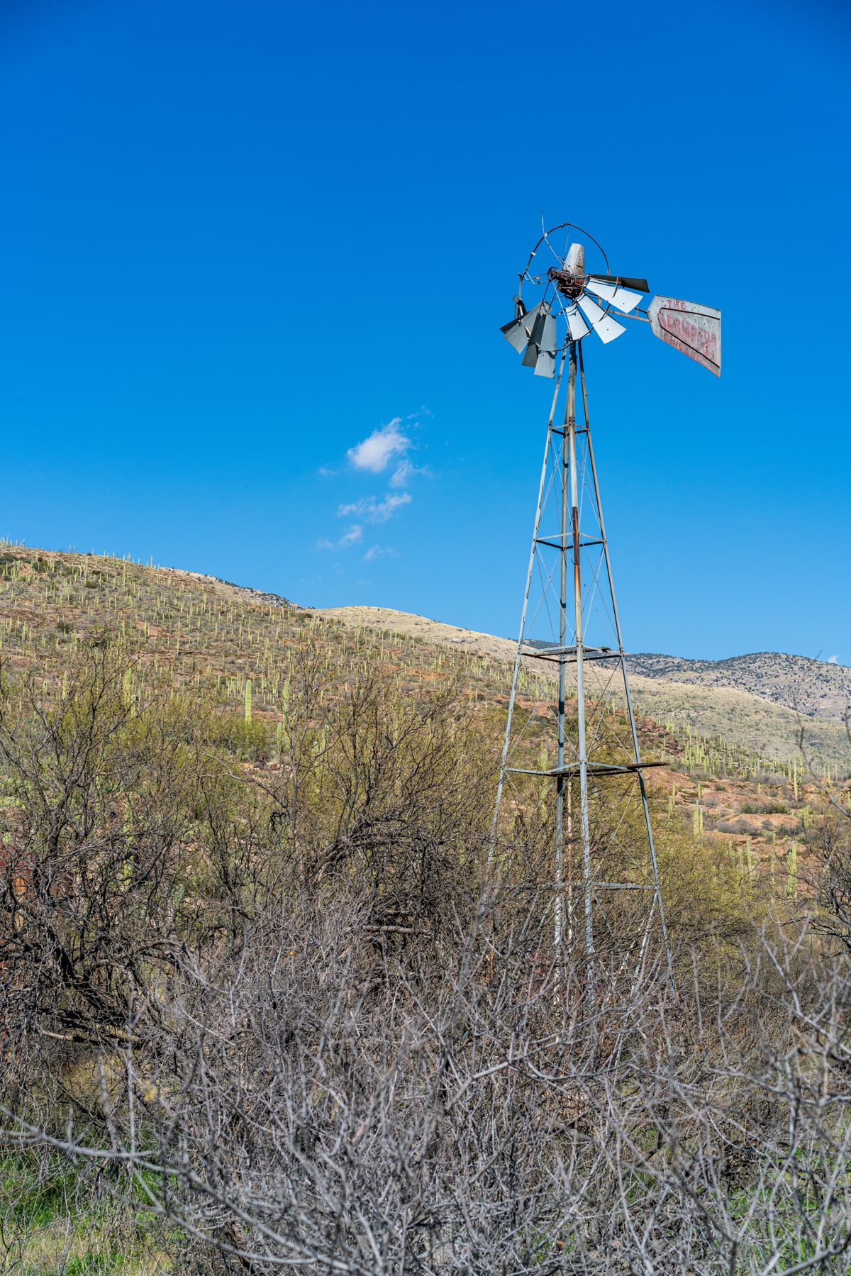 2020 February Windmill at Deer Camp on the Hope Camp Trail