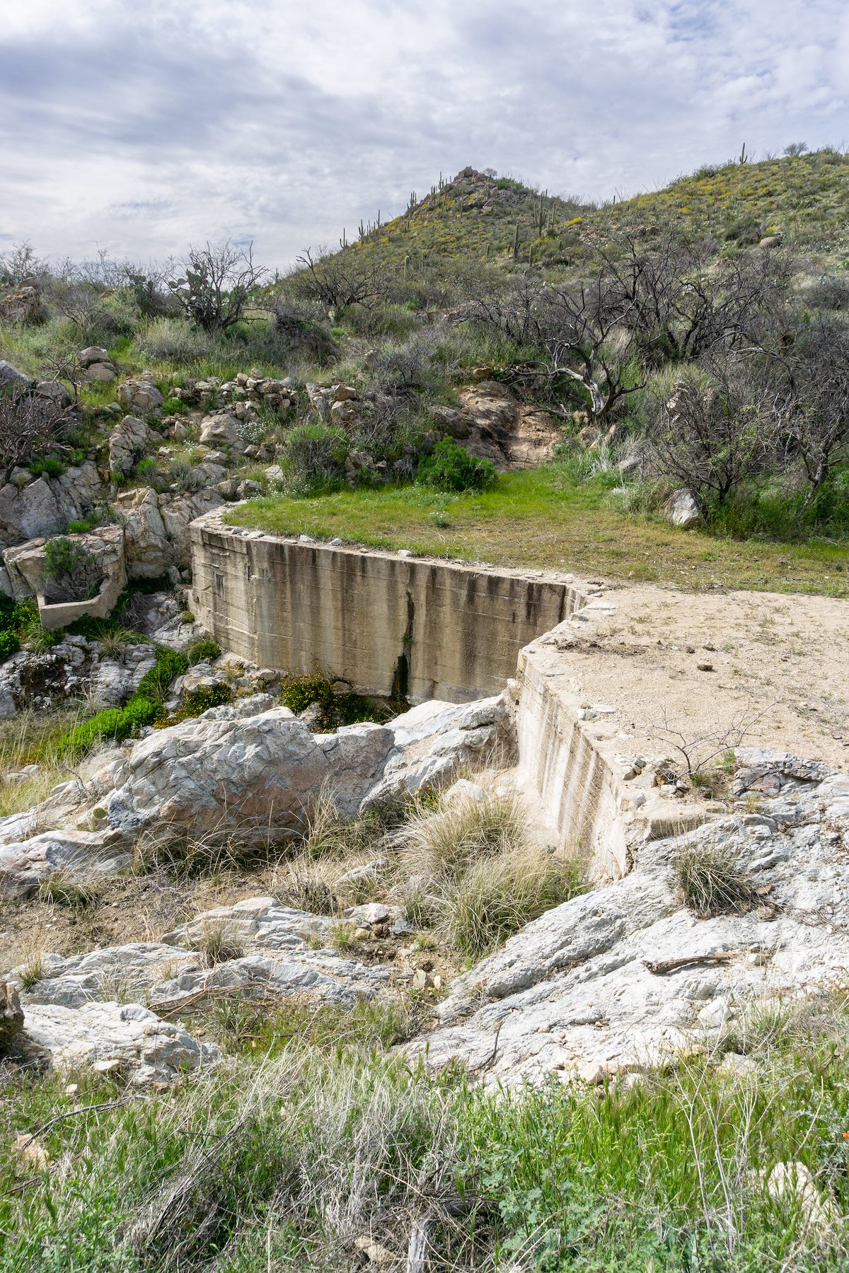 2020 March Dam in the Goat Corral Area in Wild Burro Canyon