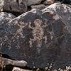 2020 May Ironwood Petroglyphs 01