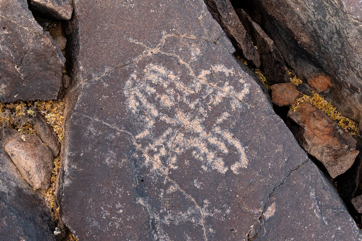2020 May Ironwood Petroglyphs 06