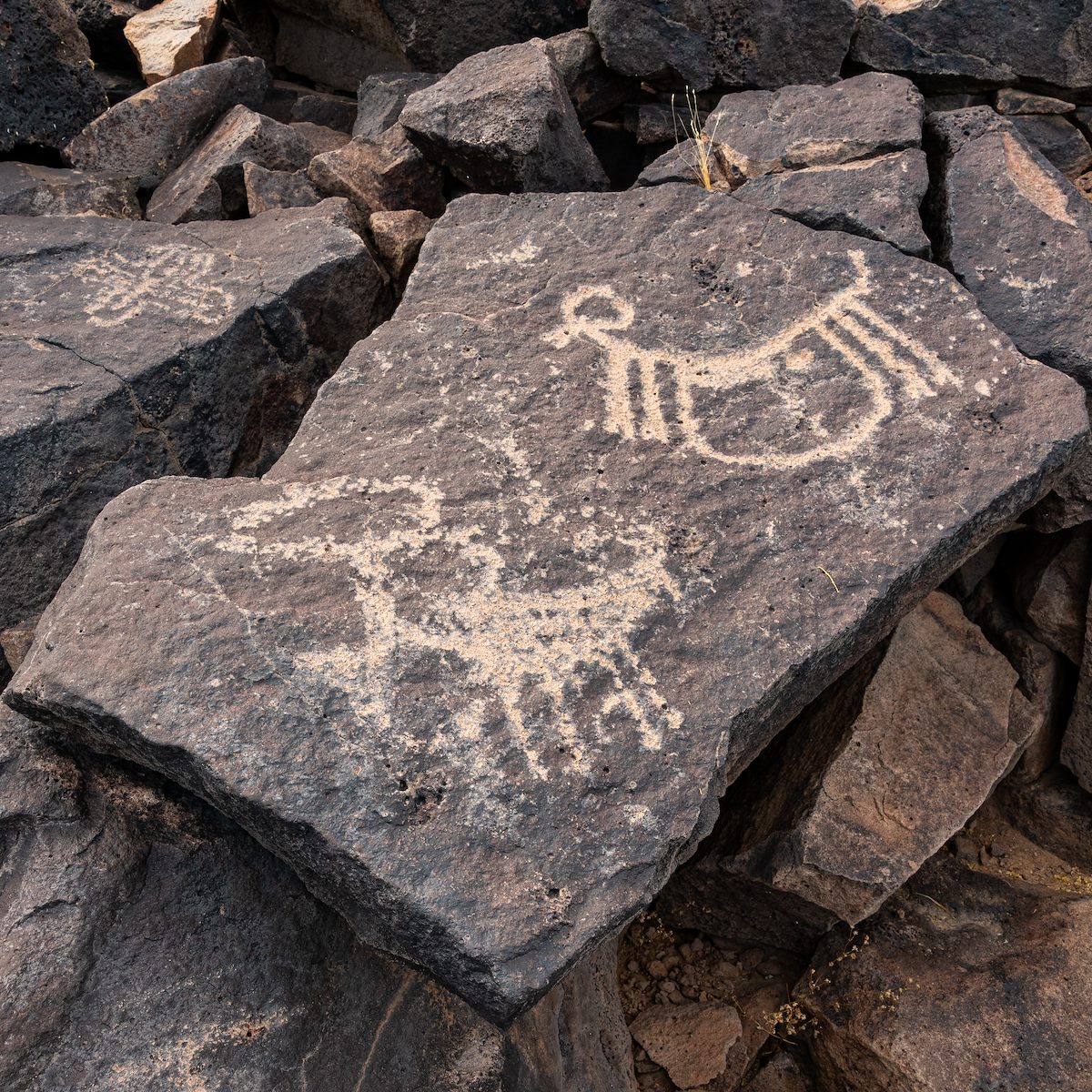 2020 May Ironwood Petroglyphs 08