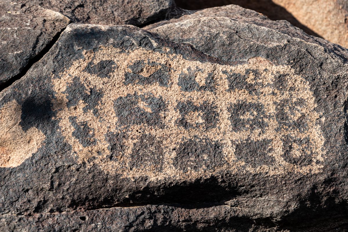 2020 May Ironwood Petroglyphs 09