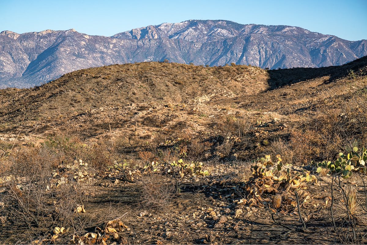 2020 November Burned area around Crow Wash in the Tortolita Mountains