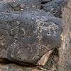 2020 November Samaniego Hills Petroglyphs 01