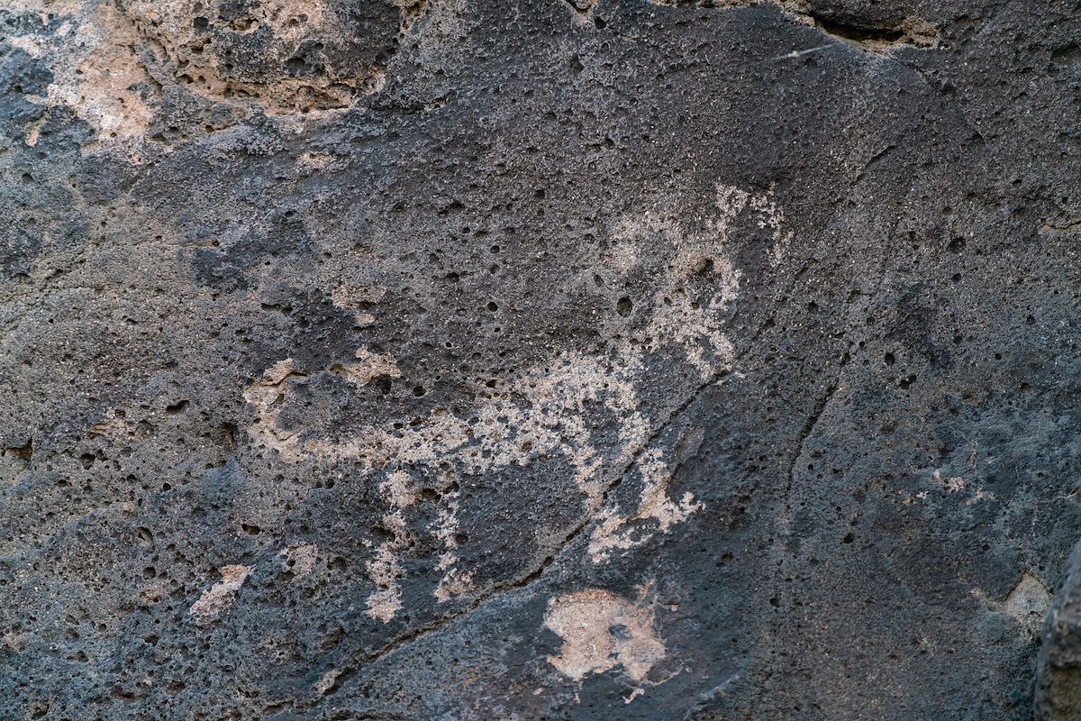 2020 November Samaniego Hills Petroglyphs 03